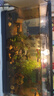 闊庭（KUOTING）魚(yú)缸水族箱生態(tài)桌面魚(yú)缸新款懶人魚(yú)缸過(guò)濾制氧一體黑色【特大號】 曬單實(shí)拍圖