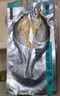 黃小漁寧德黃魚(yú)鲞400g/2條 三去大黃魚(yú)黃花魚(yú)生鮮 海鮮水產(chǎn)燒烤夜宵魚(yú)類(lèi) 曬單實(shí)拍圖
