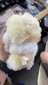 POP MART泡泡瑪特 θSKULLPANDA光織園系列毛絨公仔掛件盲盒周邊七夕禮物 隨機1個（限購9個） 不支持7天無理由退換貨 曬單實拍圖