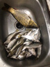 川澤伊豆綁好子線雙鉤成品魚鉤套裝金海夕仕掛鯽鯉魚翹嘴小魚鉤鳊魚鉤 伊豆45cm【鉤2線0.8+鉤3線1.0】 各10付【共20付盒裝】 曬單實拍圖