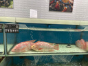 戴·可·思（Dexter）兒童洗發(fā)水沐浴露二合一牛奶香燕麥提取物沐浴露洗發(fā)沐浴 兒童洗發(fā)沐浴500ml*2瓶裝 曬單實(shí)拍圖