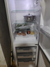 上菱183升雙開(kāi)門(mén)冰箱小型出租房2-3人用 出租屋家用兩門(mén)二門(mén)小戶(hù)型雙門(mén)電冰箱以舊換新BCD-183D 曬單實(shí)拍圖