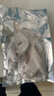 野生海捕銀鯧魚(yú)5條/斤新鮮冷凍批發(fā)海鮮水產(chǎn)白鯧魚(yú)一箱海魚(yú)扁平魚(yú) 野生海捕銀鯧魚(yú)500g/袋*3（15條） 曬單實(shí)拍圖