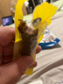 京東京造 手撕風(fēng)干牛肉干500g 約6成風(fēng)干內(nèi)蒙特產(chǎn)量販裝休閑減脂 口感稍軟 曬單實(shí)拍圖