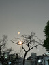 HAILE尼龍扎帶捆扎綁扎帶扎線(xiàn)理線(xiàn)束線(xiàn)帶自鎖式扎帶3.6*200mm 中號白色100根ZD-20-100 曬單實(shí)拍圖