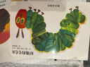當(dāng)當(dāng)正版童書 信誼世界精選圖畫書 清華附小學(xué)校推薦一二年級(jí)必讀課外閱讀書繪本書目 猜猜我有多愛(ài)你 青蛙和蟾蜍 逃家小兔 南瓜湯 生氣湯 窗里有什么 遲到大王 好餓的毛毛蟲（紙板書）（0-3歲） 曬單實(shí)拍圖