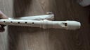 雅馬哈（YAMAHA）豎笛高音C調學(xué)生成人初學(xué)笛子YRS-24B英式【學(xué)生適用 老師推薦】 曬單實(shí)拍圖