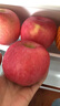 煙臺(tái)蘋(píng)果水果棲霞紅富士新鮮生鮮果山東特產(chǎn)脆甜 精品果 凈重4.5斤（果徑75mm以上） 曬單實(shí)拍圖