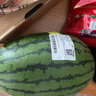 吊秧小西瓜 約1.5kg 曬單實(shí)拍圖