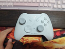 飛智冰原狼3  多模版無(wú)線游戲手柄 類xbox杠桿霍爾搖桿switch電腦PC手機(jī)steam體感NS 曬單實(shí)拍圖