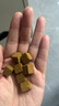 紅狗 貓維生素軟顆粒180g*2瓶(約240粒) 貓咪維生素貓多維維生素8合1 曬單實(shí)拍圖