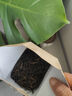 鳳牌 紅茶 經(jīng)典58 云南鳳慶滇紅特級 380g紙盒裝 茶葉 25年新茶 曬單實拍圖