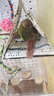 蔻絲鳥(niǎo)籠子鸚鵡大號(hào)家用玄鳳虎皮專用畫(huà)眉牡丹新型防濺豪華珍珠鳥(niǎo)別墅 曬單實(shí)拍圖