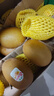 佳沛（zespri）新西蘭  陽(yáng)光金果6粒 單果約77-103g  源頭直發(fā)  獼猴桃 中秋禮盒 曬單實(shí)拍圖