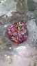 克瑞森無(wú)籽紅提450g 曬單實(shí)拍圖