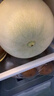 藤上熟玉菇蜜瓜單粒1.2kg 曬單實(shí)拍圖