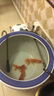 老漁匠過濾桶外置魚缸過濾器循環(huán)系統(tǒng)除油膜凈水制氧過濾一體機(jī)低噪低音 濾材殺菌燈適合60-100cm魚缸1000L/H 曬單實(shí)拍圖