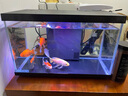 喜高超白玻璃魚(yú)缸智能魚(yú)缸免換水小型客廳水族箱一體式過(guò)濾氧氣魚(yú)缸 黑色-魚(yú)缸標配 380*210*245mm 曬單實(shí)拍圖