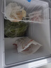 澳柯瑪（AUCMA）150升低霜冰柜家用小冰柜冷藏柜冷凍柜母嬰母乳小冰箱小型冷柜一級(jí)能效 BC/BD-150HY 國(guó)家補(bǔ)貼20% 曬單實(shí)拍圖
