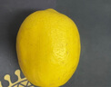 廣東香水黃檸檬包郵新鮮水果檸檬精選皮薄奶茶店專(zhuān)用整箱 現(xiàn)貨 黃香水檸檬6粒裝  單果70g+ 曬單實(shí)拍圖