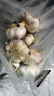 【百萬(wàn)斤】【急賣(mài)】大蒜頭批發(fā)干蒜紫皮大蒜頭干蒜特大新鮮大蒜 新干蒜5斤保質(zhì)沖量-自然晾曬 農家自種：1斤中果【果徑3cm起】 曬單實(shí)拍圖