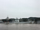 京鮮生山東金鄉(xiāng)大蒜帶皮新鮮干蒜凈重5斤單果5.5cm起 源頭直發(fā)包郵 曬單實(shí)拍圖