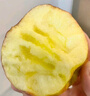現(xiàn)摘當(dāng)季云南昭通野生丑蘋(píng)果冰糖心蘋(píng)果水果新鮮脆甜大果5/10斤 中果70mm-75mm脆甜 5斤 曬單實(shí)拍圖