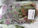 紅莧菜300g 曬單實(shí)拍圖