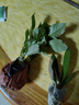 歐悟 蝴蝶蘭花苗盆栽室內觀(guān)花植物桌面陽(yáng)臺年宵花卉四季開(kāi)花綠植花卉 藍精靈+透明原盆+原土 曬單實(shí)拍圖