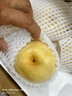 京鮮生 長城老樹皇冠梨 凈重5斤 單果250g+ 新鮮當季 生鮮水果 曬單實拍圖