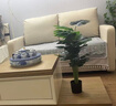 顧家居新款貓抓皮科技布藝沙發(fā)客廳小戶(hù)型北歐輕奢簡(jiǎn)約現代豆腐塊 淺灰/貓爪科技布 2.8m 曬單實(shí)拍圖