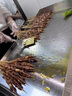 樂(lè )創(chuàng  )（lecon）電扒爐商用煎牛扒鐵板燒商用設備鐵板燒魷魚(yú)雞蛋灌餅手抓餅烤冷面機器 【超大扒板73*40】820B雙控鐵板|贈送豪禮 曬單實(shí)拍圖