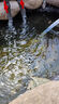老漁匠魚(yú)池抽水過(guò)濾不銹鋼大流量戶(hù)外假山流水噴泉潛水泵循環(huán)水泵 【新一代高揚程】60W流量3000L/H 曬單實(shí)拍圖