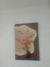 柿柿如意裝飾畫(huà)客廳沙發(fā)背景墻壁畫(huà)入戶(hù)玄關(guān)畫(huà)寓意好走廊過(guò)道掛畫(huà) 柿柿如意A a50*70cm 【噴繪 油畫(huà)布】啞光效 曬單實(shí)拍圖
