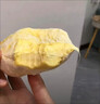 金枕頭榴蓮肉進(jìn)口速凍冷凍當季樹(shù)熟無(wú)殼新鮮水果軟糯香甜肉厚有核 1斤樹(shù)熟金枕榴蓮肉500g 曬單實(shí)拍圖