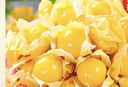 東北姑娘果新鮮當季水果黃菇娘燈籠果酸甜可口甜菇娘特產(chǎn)京東包郵 【帶箱3斤】東北姑娘果 曬單實(shí)拍圖