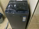 海爾（Haier）波輪洗衣機(jī)小型全自動(dòng)懶人家用【XQB80-Z10D0】家電國(guó)家補(bǔ)貼20%以舊換新一級(jí)能效宿舍出租房單脫水 曬單實(shí)拍圖
