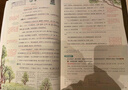 2025秋一本初中預習筆記七八年級上下冊語(yǔ)文數學(xué)英語(yǔ)課前預習同步課本同步講解批注初中課本教材講解全解隨堂筆記預習 7年級語(yǔ)文【上冊】 正版官方直營(yíng) 曬單實(shí)拍圖