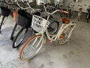 飛鴿（FLYING PIGEON）自行車(chē)成人通勤車(chē)自行車(chē)學(xué)生單車(chē)成人自行車(chē)通勤自行車(chē)女士自行車(chē) 標配奶油米|單速|(zhì)輻條輪+禮包 24寸適合150-170cm 曬單實(shí)拍圖
