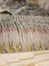 好奇（Huggies）小森林紙尿褲S62片(4-8kg)尿不濕心鉆【透氧頂配更低敏】 曬單實(shí)拍圖