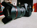 佳能（Canon）EOS 6D Mark II 6D2全畫幅 專業(yè)單反相機 L級24-105標(biāo)準(zhǔn)鏡頭套裝（約2620萬像素/4K延時視頻短片） 曬單實拍圖