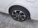 玲瓏輪胎205/50R17 93W 玲瓏臻選 UD  適配思域/比亞迪秦 曬單實(shí)拍圖