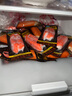 優(yōu)形 阿拉斯加蟹肉棒即食 65g*10袋冷藏 蟹柳輕食減餐低脂早餐零食 曬單實(shí)拍圖