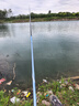 迪卡儂輕風(fēng)行釣魚竿臺(tái)釣竿手竿輕量小綜合多魚種桿5.4M-5479420 曬單實(shí)拍圖