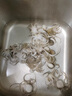 免清理迷你八爪魚(yú)新鮮冷凍章魚(yú)網(wǎng)紅爆頭鹽揉小八爪魚(yú)鮮活速凍生鮮 迷你小八爪 500g(凈重） 曬單實(shí)拍圖