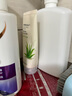 菲詩(shī)小鋪（THE FACE SHOP） 草本洗面奶清潔泡沫潔面乳潔面膏 蘆薈洗面奶170g（多種膚質(zhì)） 曬單實(shí)拍圖