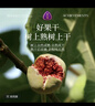 覓菓（miguo）伊朗玫瑰無花果干A+級黃體酮孕婦滋補煲湯無添加休閑零食338g/罐 曬單實拍圖