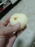 康田匯 陜西紅香酥梨 當(dāng)季新鮮梨子水果現(xiàn)貨新鮮時令應(yīng)季水果整箱 5斤【手挑精選果】凈重4.5斤 曬單實拍圖