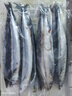 純色本味 冷凍精品俄羅斯秋刀魚(yú)凈重2斤 燒烤食材 生鮮魚(yú)類(lèi) 曬單實(shí)拍圖