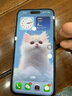 iPhone 14 ProMax【24期免息】蘋(píng)果14promax 國行5G蘋(píng)果 二手手機 深空黑色 {評價(jià)有禮} 【99新】256G【性能/性?xún)r(jià)比推薦】3期免息 三年老店+五星店鋪+一年質(zhì)保 曬單實(shí)拍圖